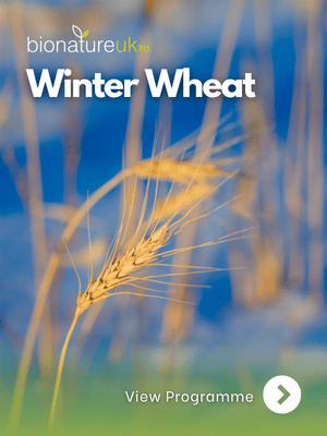 Winter Wheat_thumbnail
